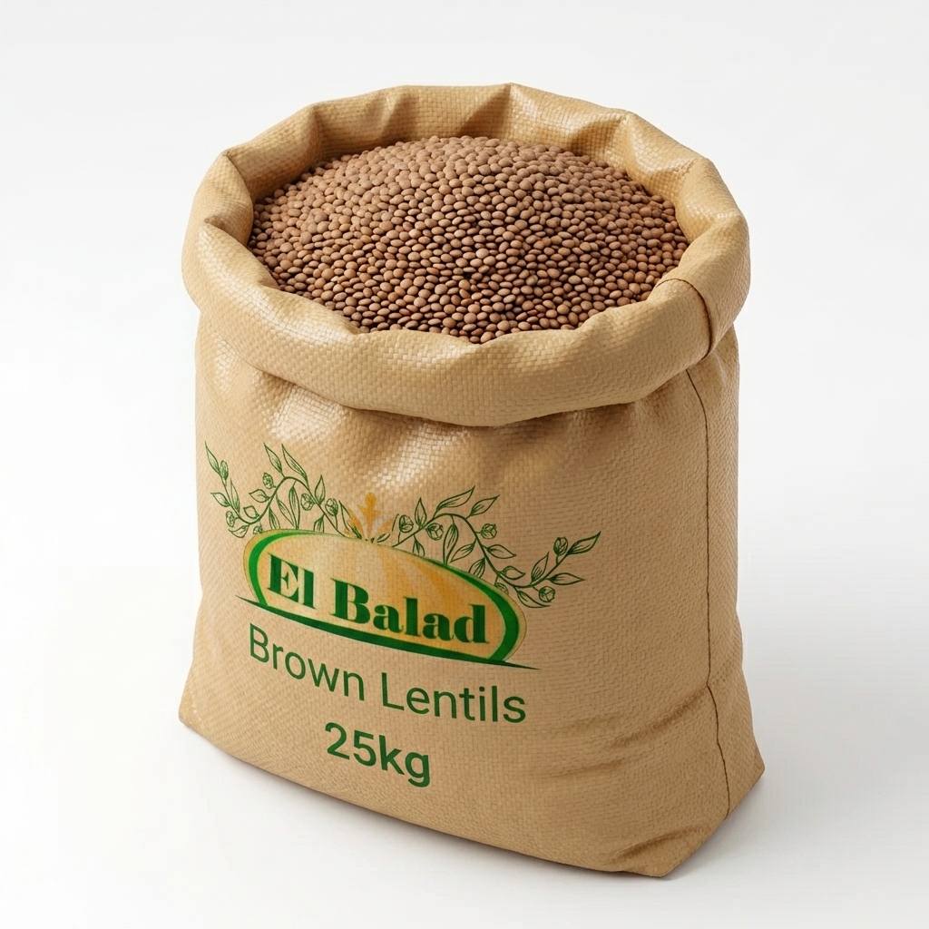 LENTILLES BRUNES 25 KG
